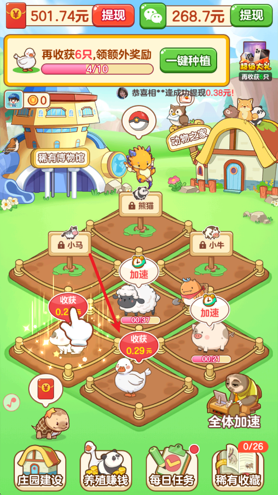 福运萌宠
