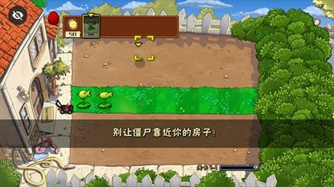 植物大战僵尸第五人格版