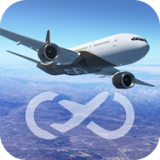 Infinite Flight飞行模拟器
